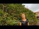 Vegetation Study informs Spatial Planning on Sint Maarten