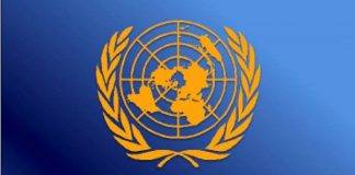 Scale up carbon dioxide removal to achieve climate targets, urge United Nations regional leaders.
