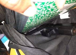 Pellet gun, weed confiscated at school from student