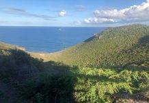 Prosecutor’s Office opens contact email related to ‘Vineyard Heights’