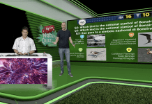 Join DCNA’s Free Big Live Nature Quiz and Win a Sailing Trip