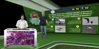 Join DCNA’s Free Big Live Nature Quiz and Win a Sailing Trip