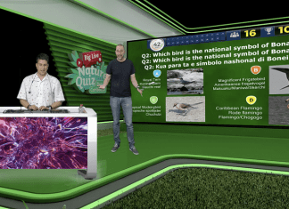 Join DCNA’s Free Big Live Nature Quiz and Win a Sailing Trip