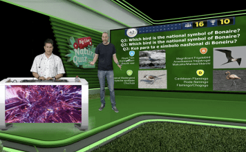 Join DCNA’s Free Big Live Nature Quiz and Win a Sailing Trip
