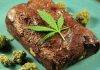 Minor consumed marijuana laced cake