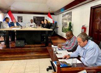 Public entities not at fault for delay new ferry service, says Zagers