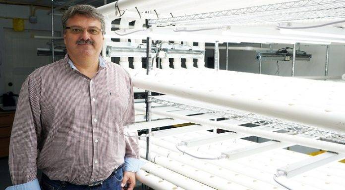 Jim Garza determined to get hydroponics farm up and running