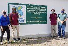 Seedling trials start at Intensive Horticulture project