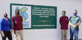 Seedling trials start at Intensive Horticulture project
