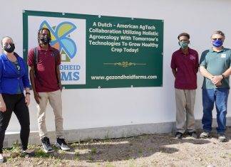 Seedling trials start at Intensive Horticulture project