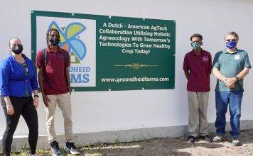 Seedling trials start at Intensive Horticulture project