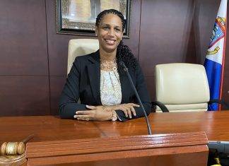 Continuation urgent Public meeting of Parliament regarding advice of the Council of Advice concerning article 50, paragraphs 2 and 3 of the Constitution