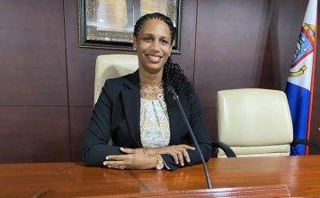 Heyliger-Marten reiterates need for SOAB Audit documents on TelEM