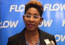 Marilyn Sealy appointed Senior Director, Head of Communications, C&W Communications