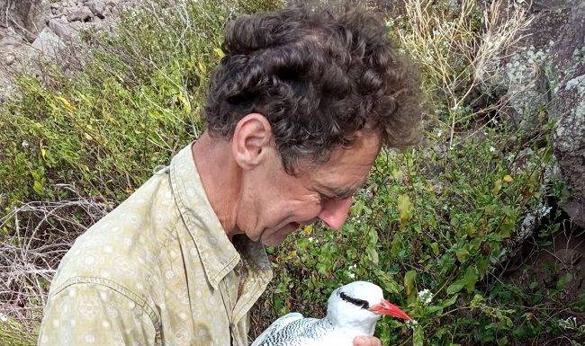 Tropicbird research on Saba provides important data