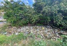 Nature Foundation St. Maarten Continues to Urge about the Negative Impacts of Littering and Pollution