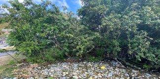 Nature Foundation St. Maarten Continues to Urge about the Negative Impacts of Littering and Pollution
