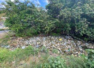 Nature Foundation St. Maarten Continues to Urge about the Negative Impacts of Littering and Pollution