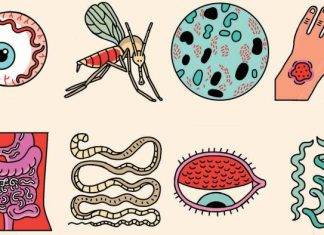 World NTD Day “Achieving health equity to end the neglect of poverty-related diseases”