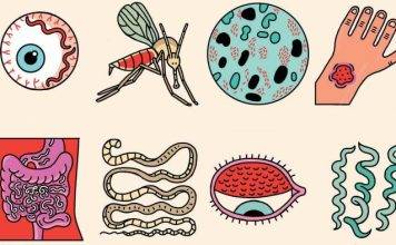 World NTD Day “Achieving health equity to end the neglect of poverty-related diseases”