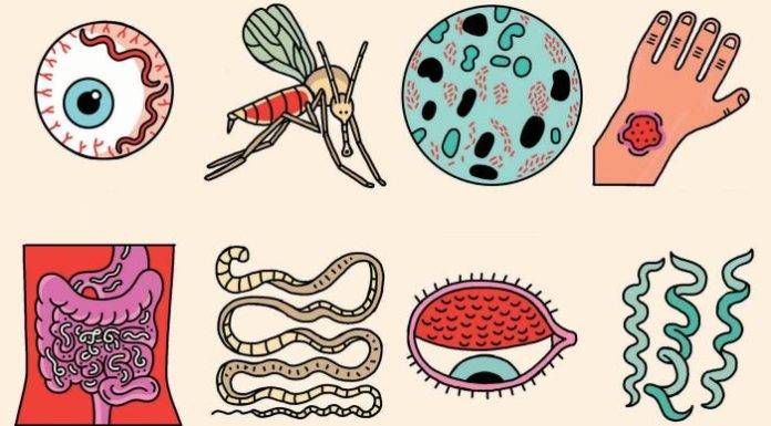 World NTD Day “Achieving health equity to end the neglect of poverty-related diseases”