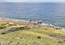 Final scope for Saba harbor approved