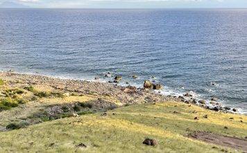 Final scope for Saba harbor approved