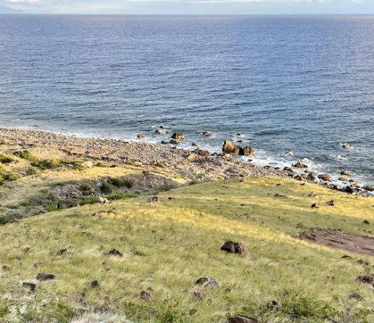 Final scope for Saba harbor approved