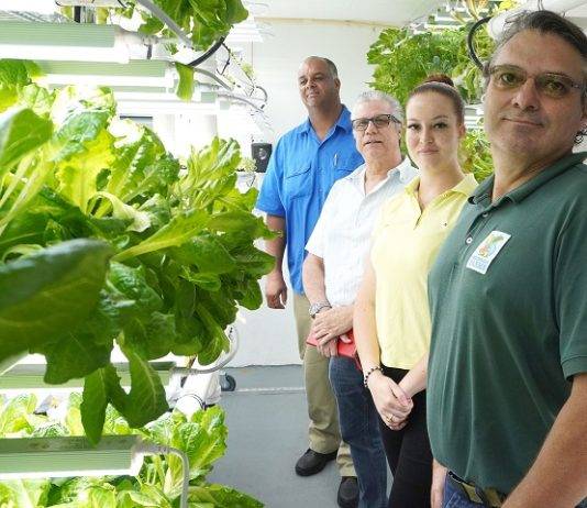 Island Council Members visit hydroculture farm