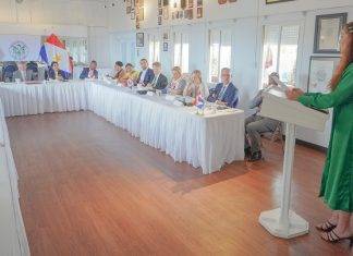 Esmeralda Johnson won’t be in next elections, disappointed in The Hague