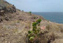 Permit request for new harbor submitted