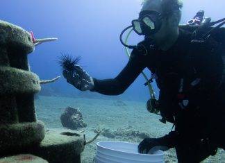 Saba promoted as environmental education island