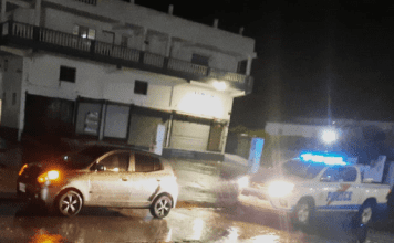 More people arrested for stolen vehicle possession