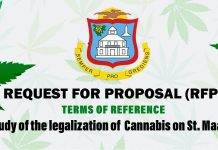 Request For Proposal (RFP) launched for Study on Legalizing Cannabis in St. Maarten