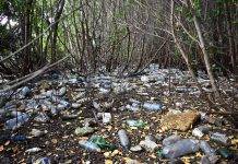 Alarming amounts of single-use plastics collected during ICC 2022