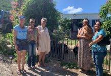 Island Charity Gems supports Island dog spay/neuter drive