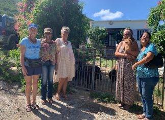 Island Charity Gems supports Island dog spay/neuter drive