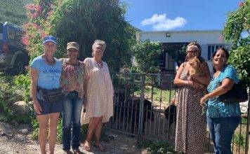 Island Charity Gems supports Island dog spay/neuter drive