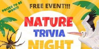 Nature Foundation St. Maarten collaborates with schools and businesses to engage and educate local communities and youth