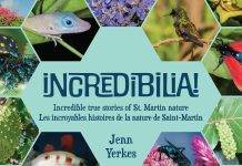 New Nature Book Launches With Free Giveaway This Saturday!