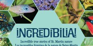 New Nature Book Launches With Free Giveaway This Saturday!