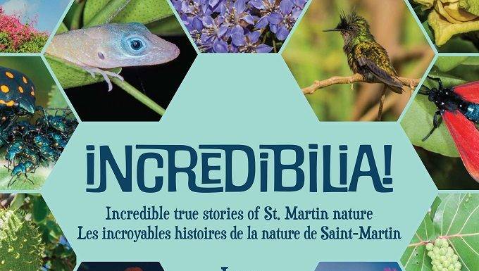 New Nature Book Launches With Free Giveaway This Saturday!