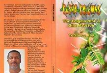 Cusha Columns unravels the enigma that is St. Maarten