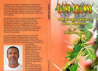 Cusha Columns unravels the enigma that is St. Maarten