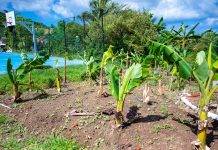 Wastewater treatment system at Leonald Conner School fully repaired through Sint Maarten Trust Fund