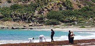Mysterious Deaths Unfold in Guana-Bay Beach: Investigation Underway