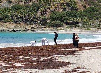 Mysterious Deaths Unfold in Guana-Bay Beach: Investigation Underway