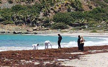 Mysterious Deaths Unfold in Guana-Bay Beach: Investigation Underway