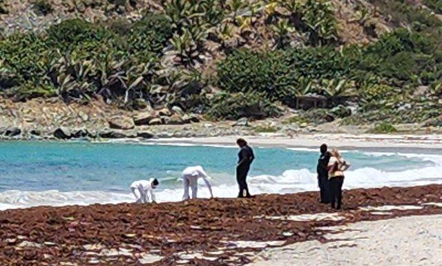 Mysterious Deaths Unfold in Guana-Bay Beach: Investigation Underway