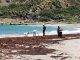 Mysterious Deaths Unfold in Guana-Bay Beach: Investigation Underway